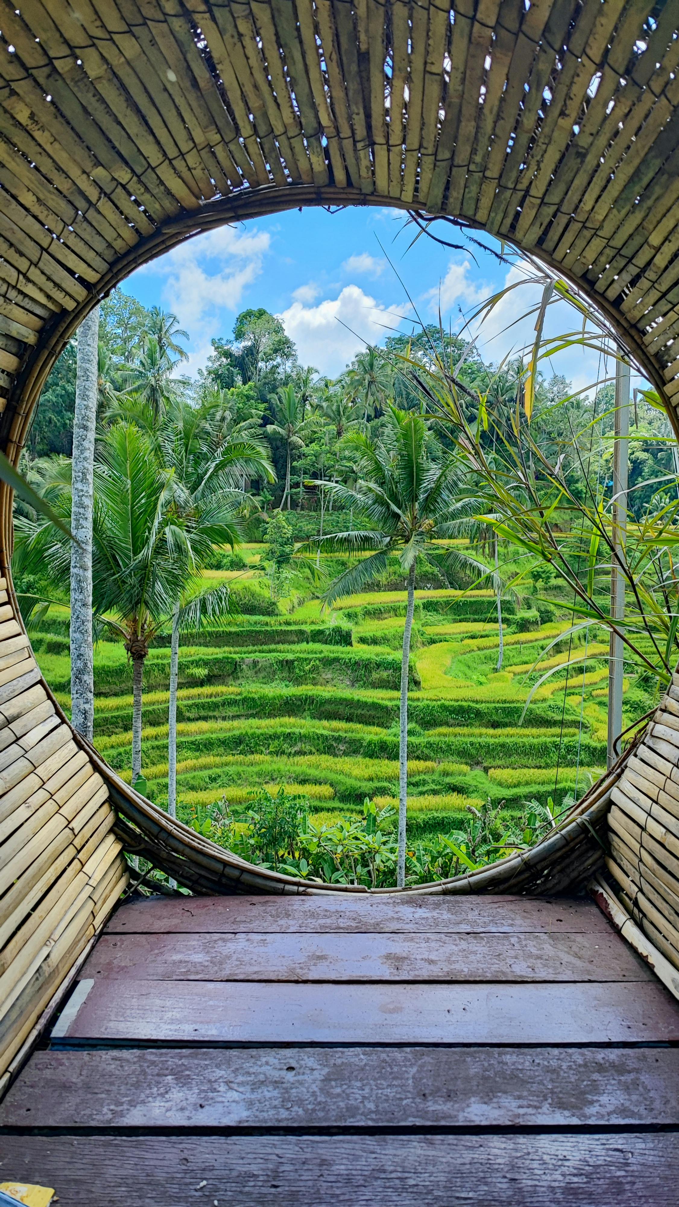 Bali Paradise Escape